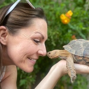 Meet your Posher, Posh